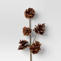 4pc Christmas Pick Set 2 Iced Pinecone 2 Red Berry With Pinecones - Wondershop™ -Wondershop GUEST 0da78f5f c518 4aad be7b 34dde7e949b2