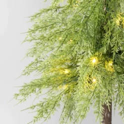 Pre-Lit Potted Balsam Artificial Christmas Tree - Wondershop™ -Wondershop GUEST 5d9ddf88 42c8 4d7d 88ad 8a538f9a5403