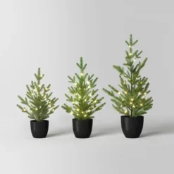 Pre-lit Potted Balsam Fir Mini Artificial Christmas Tree Set Warm White Lights - Wondershop™ -Wondershop GUEST dace8258 2c82 4bf0 9dbe c83373b16bdf