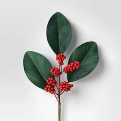 4pc Christmas Pick Set 2 Magnolia Leaf 2 Red Poinsettia - Wondershop™ -Wondershop GUEST f4255727 4432 43e9 bc15 cf1d5326592b